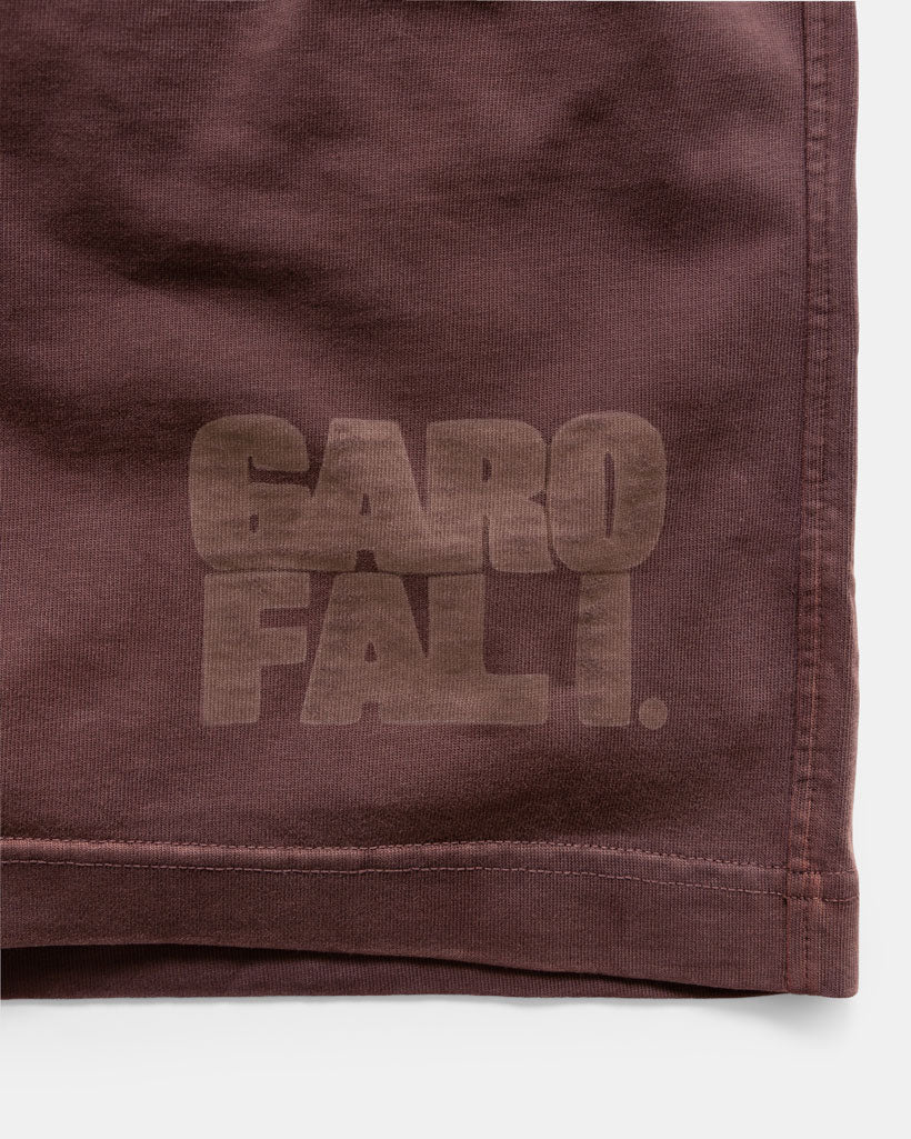 Heavyweight Shorts in Chocolate
