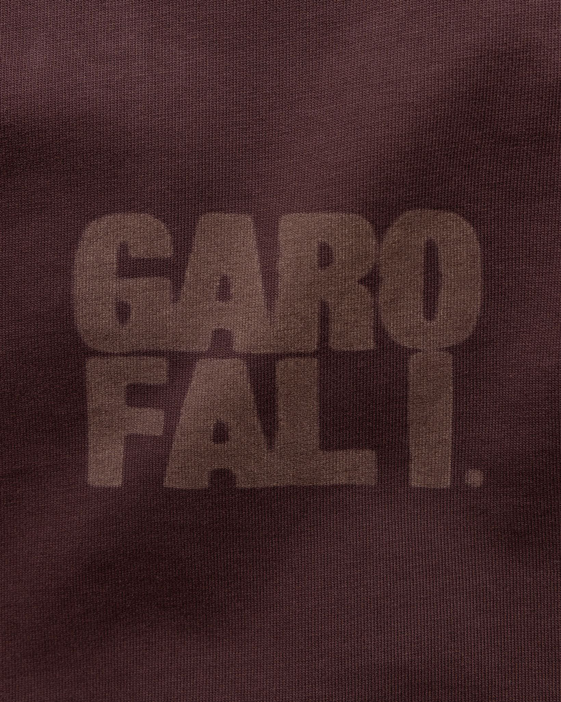 Men's heavyweight t-shirt in chocolate, laser artwork logo detail