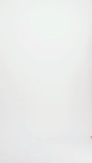 Brief (Triple White)