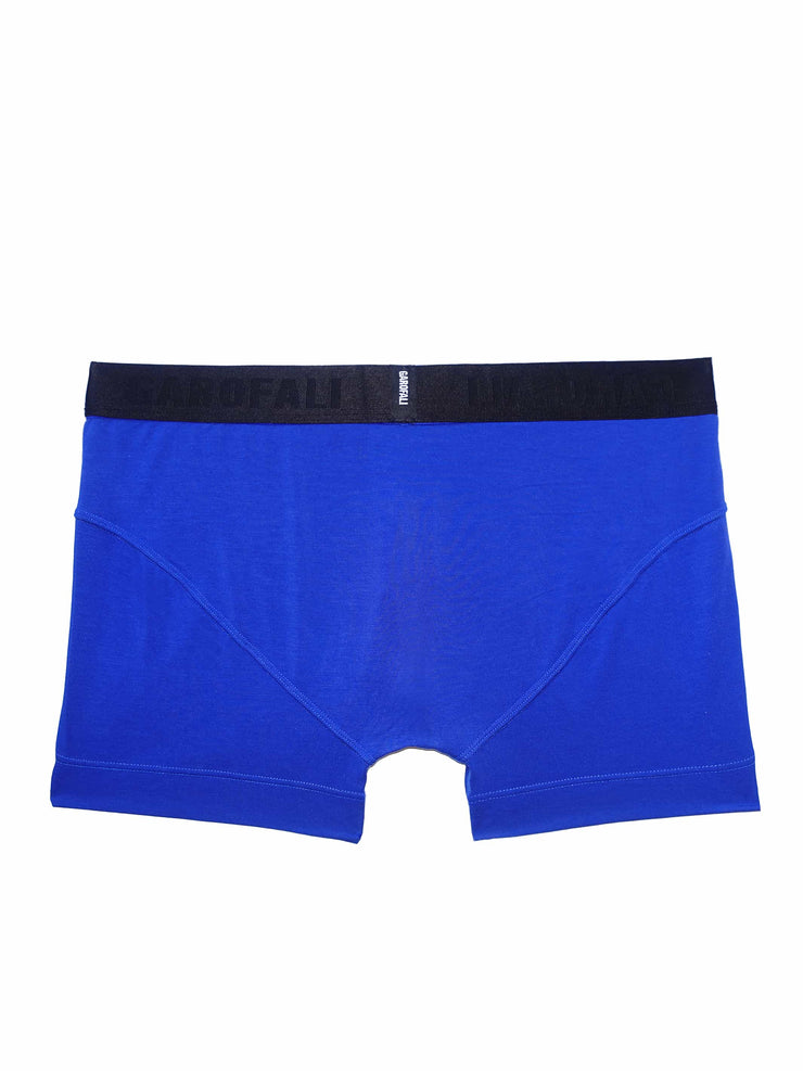 Boxer Brief (Blue/Black)