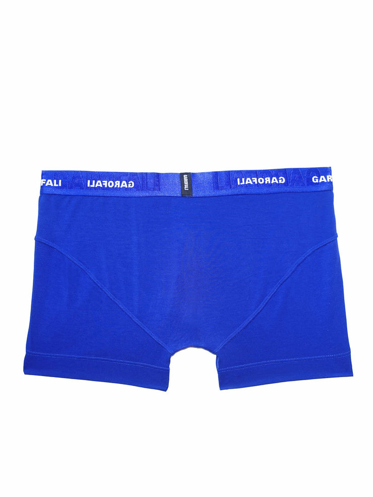 Boxer Brief (Blue/Black)