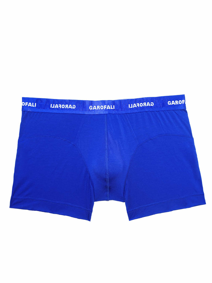 Boxer Brief (Blue/Black)