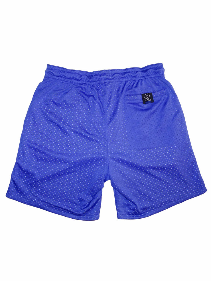 Mesh Shorts (Blue/White)