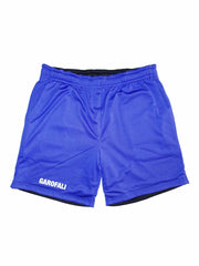 Mesh Shorts (Black/Blue)