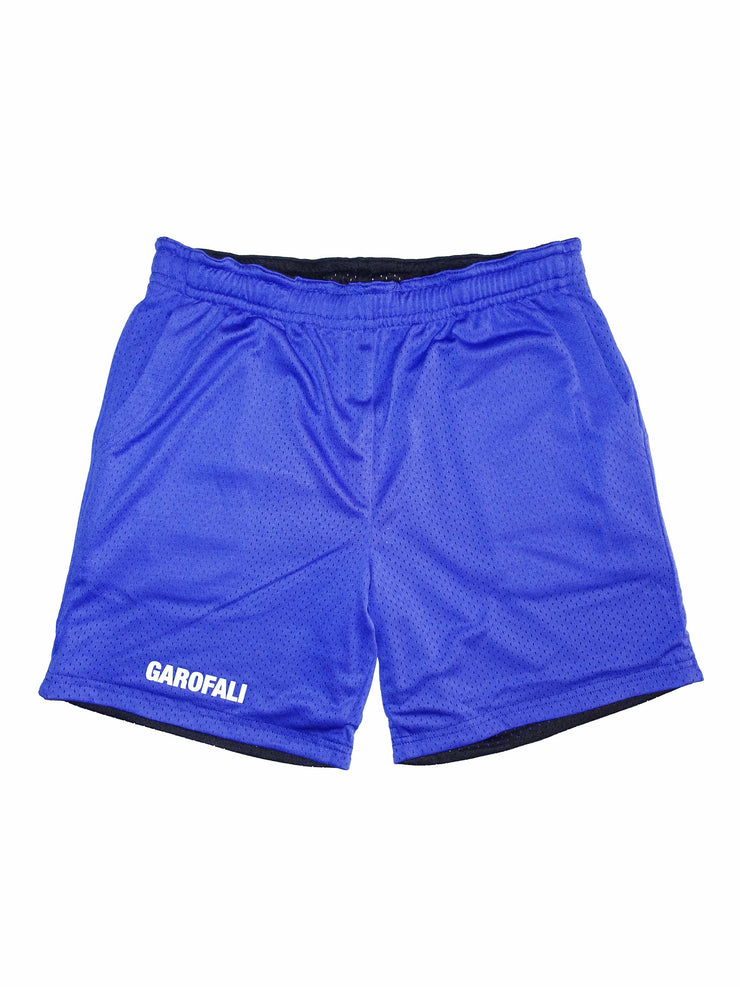 Mesh Shorts (Black/Blue)